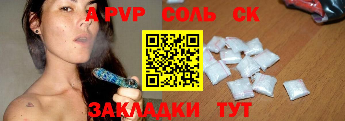 Alfa_PVP СК КРИС Майкоп