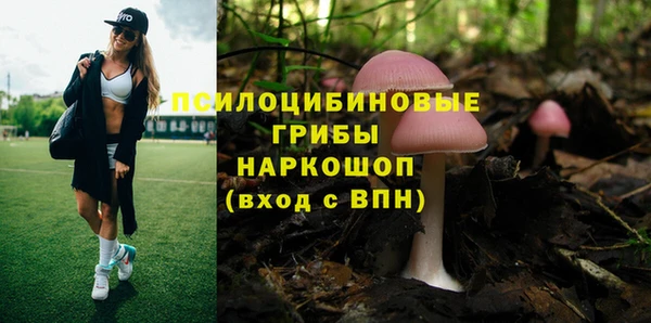 твердый Нефтекумск