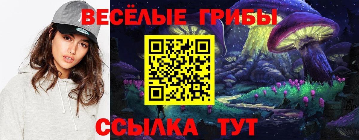Псилоцибиновые грибы мухоморы  Вход с VPN  Майкоп 